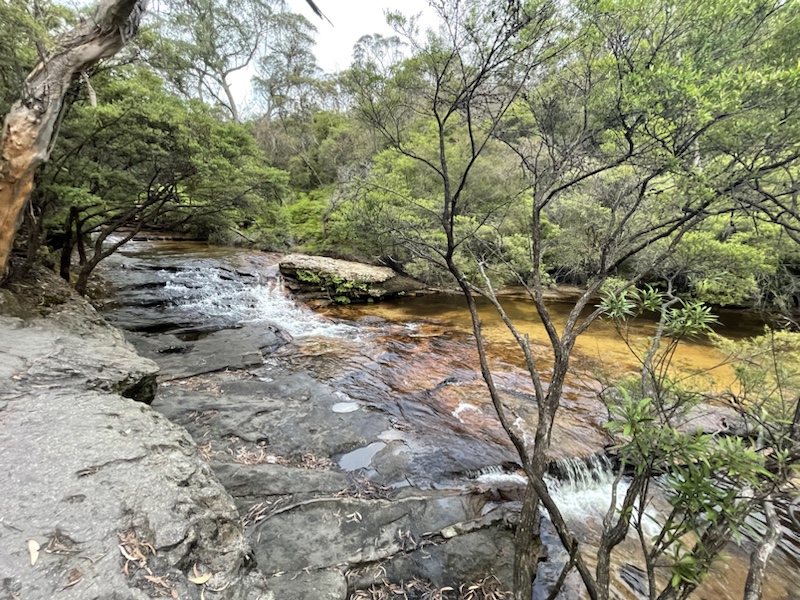 We walked to the top of Wentworth Falls​ in the Blue Mountains, near Sydney, NSW, Australia 